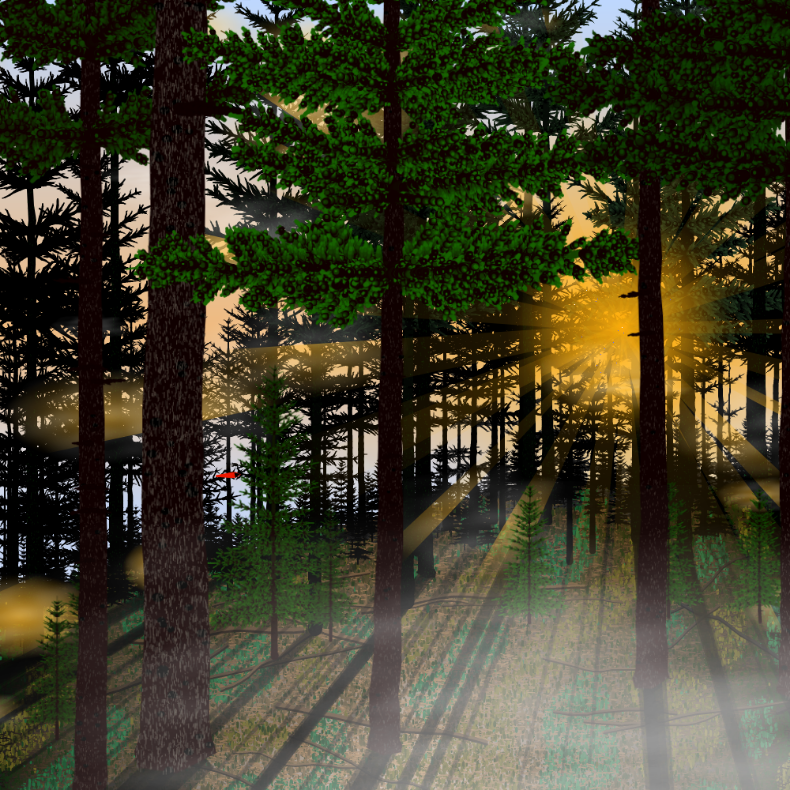 Forest Sunrise #2