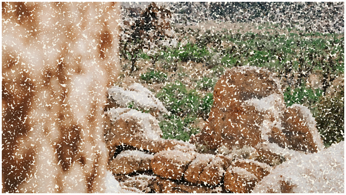 Pointillism #132