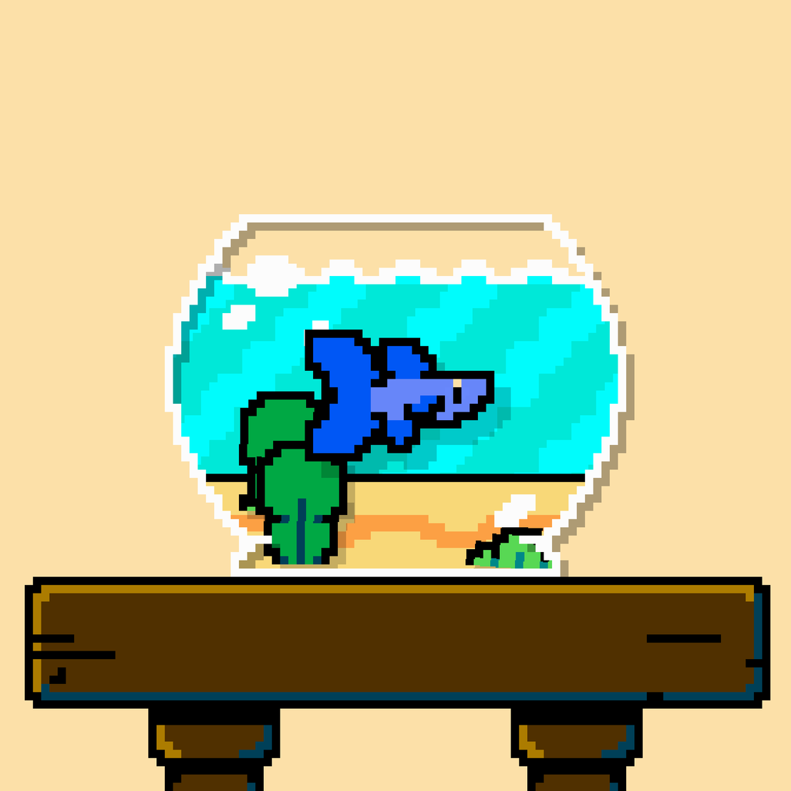 betta fish #662