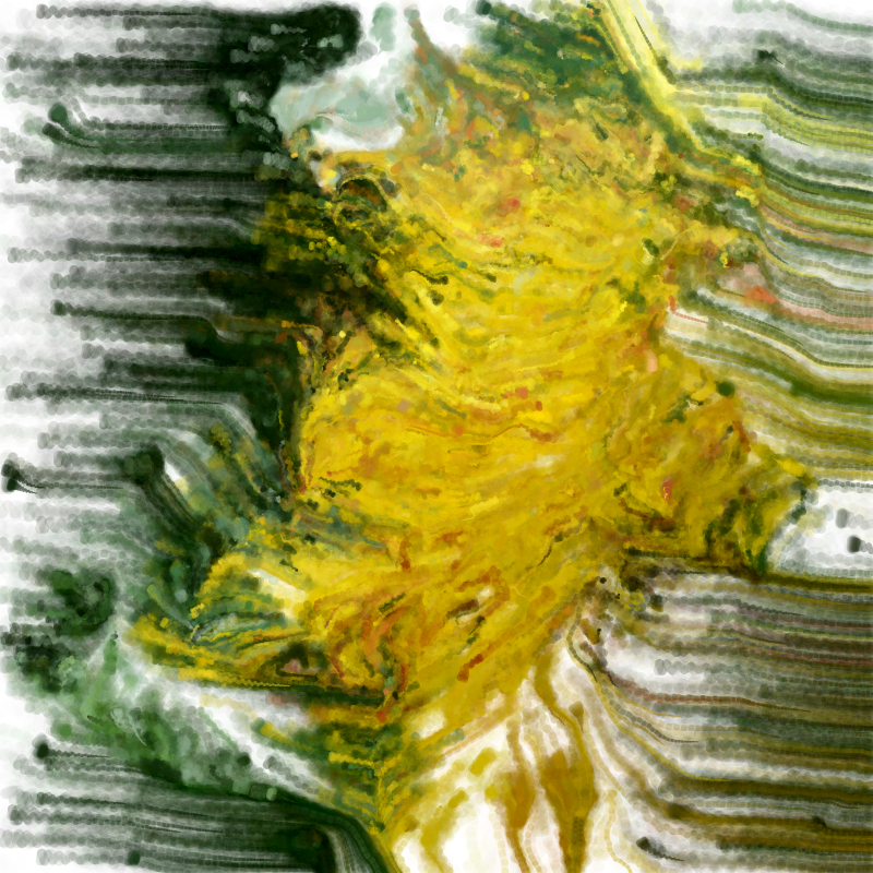 Hypericum #249