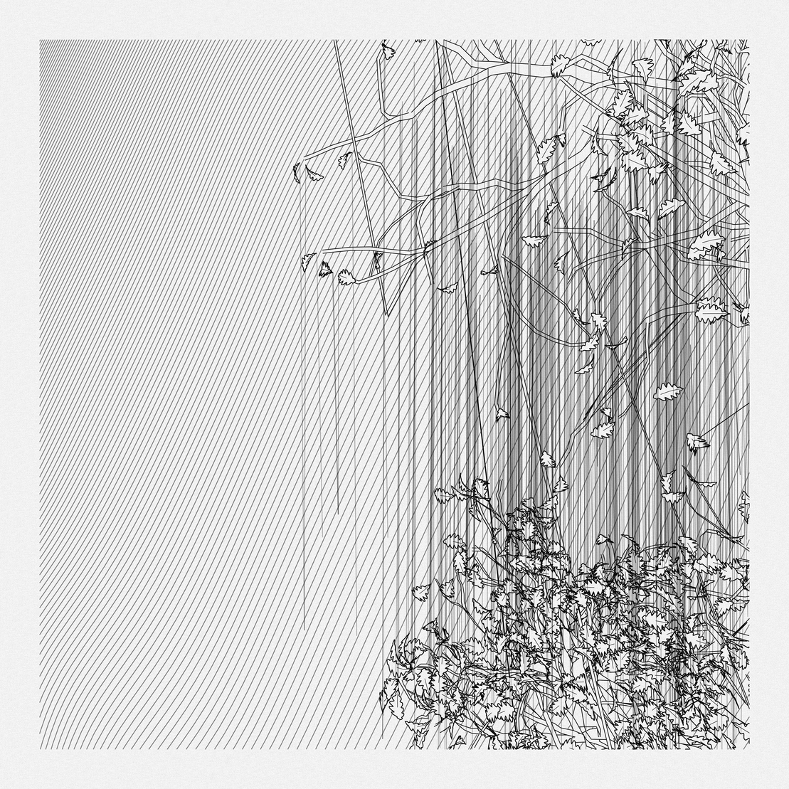 A Bugged Forest #594