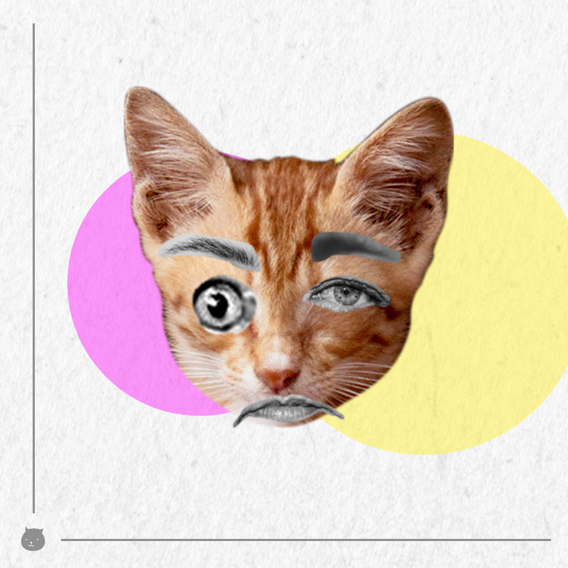 Kittenstein #58