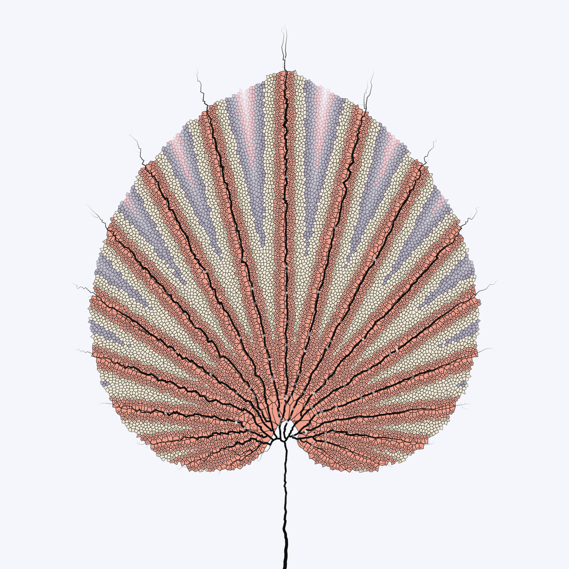 Leaf study #31