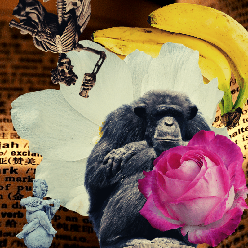 Banana flower #19