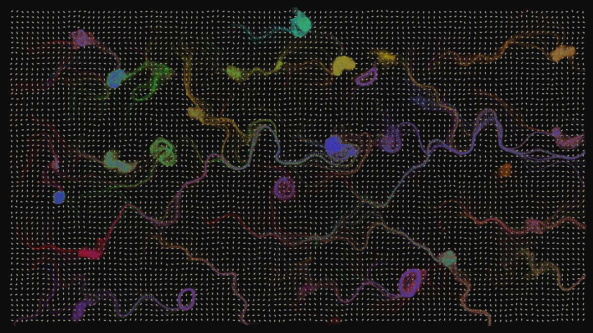 fx(flowField) #11