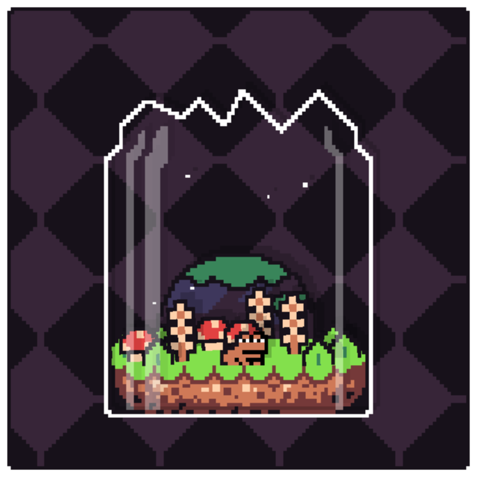 Toad Terrarium #25