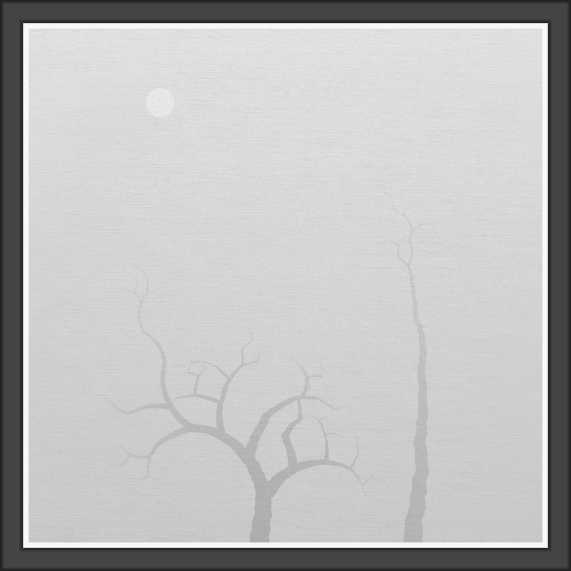 The Foggy Trees #23
