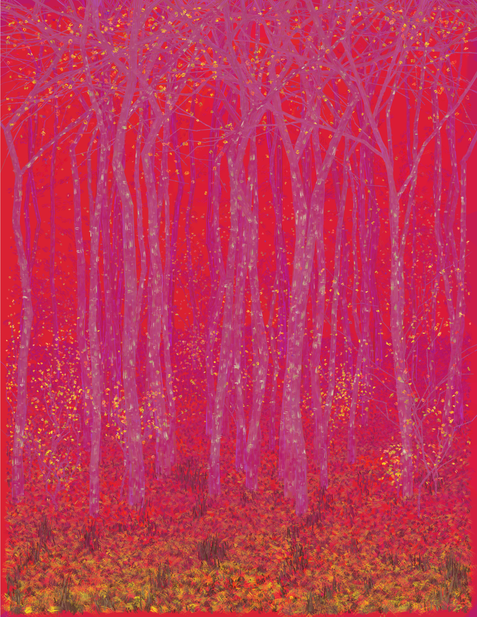 Deep Forest #58