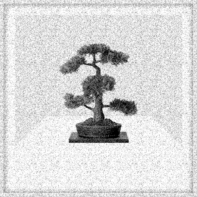 Bonsai Bonanza #630