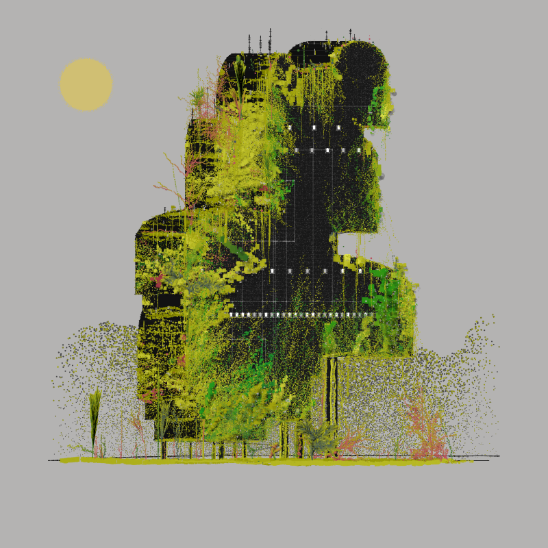 NS2: GROWTH #1