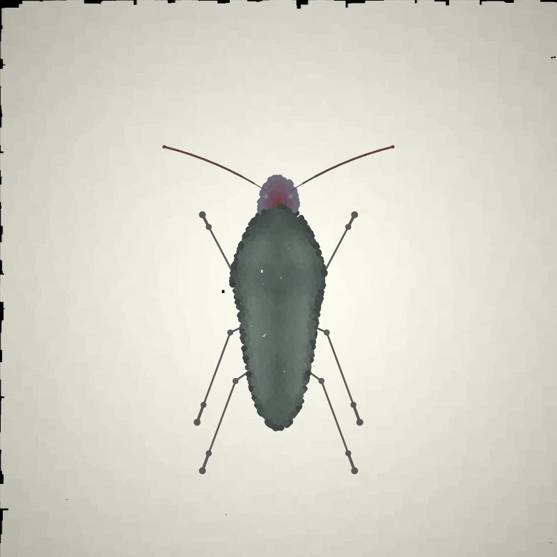 Beetle Sketches #22