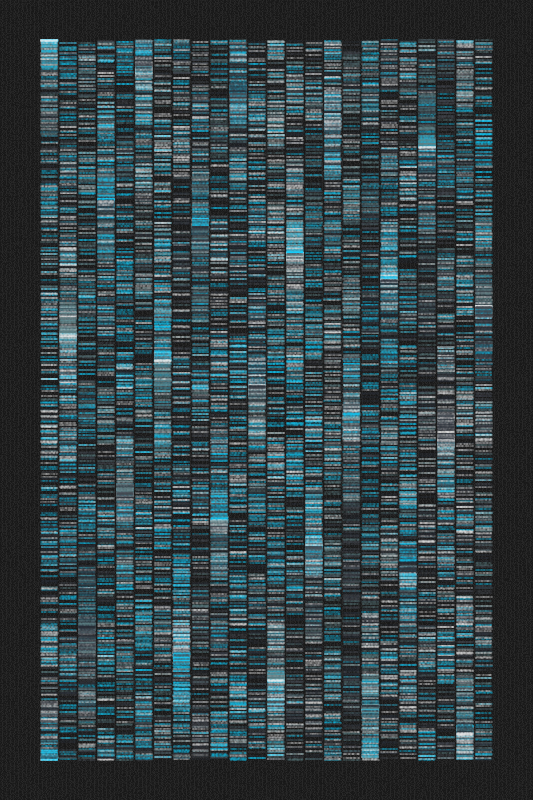 Sequence #81