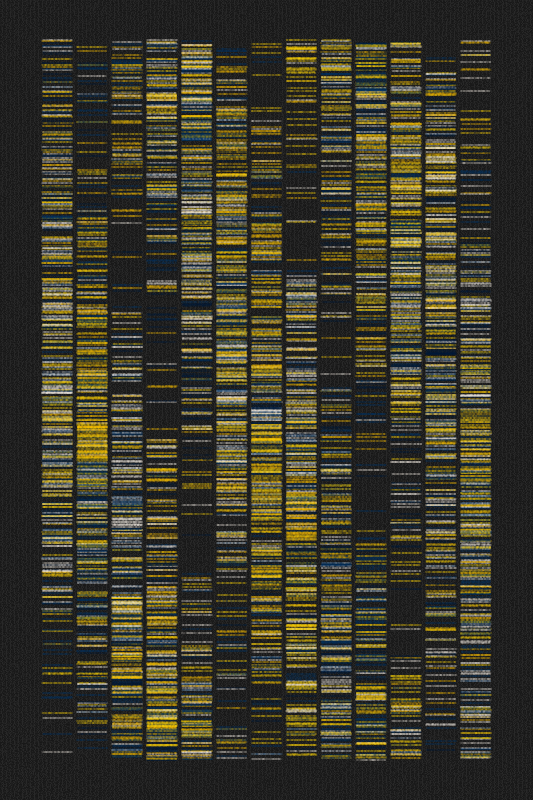 Sequence #342