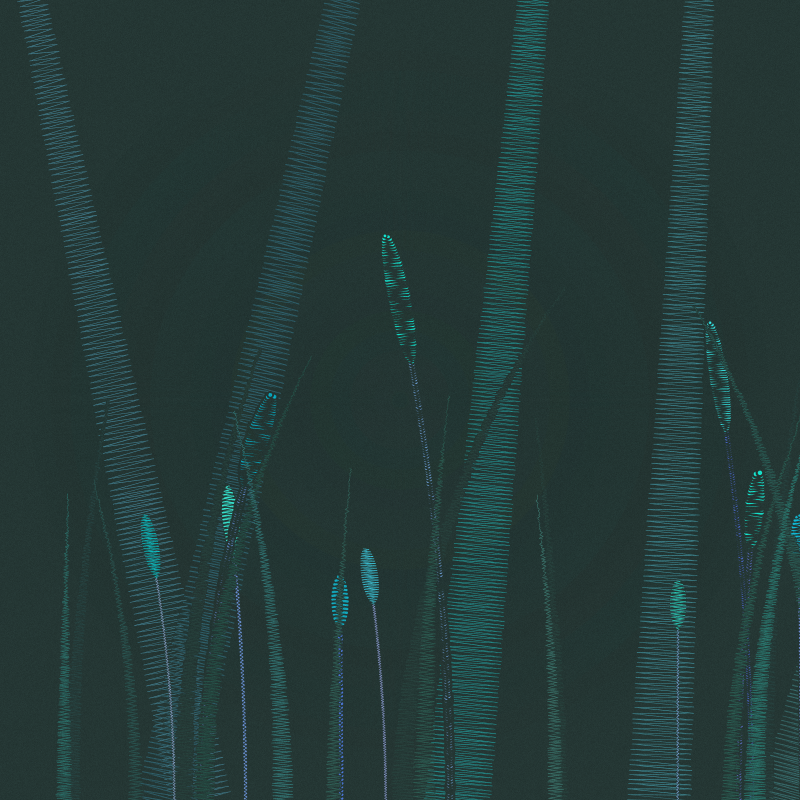 ZigZag Garden #22