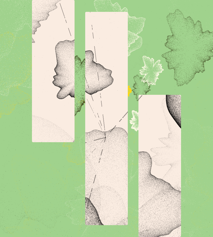 Generacci #71