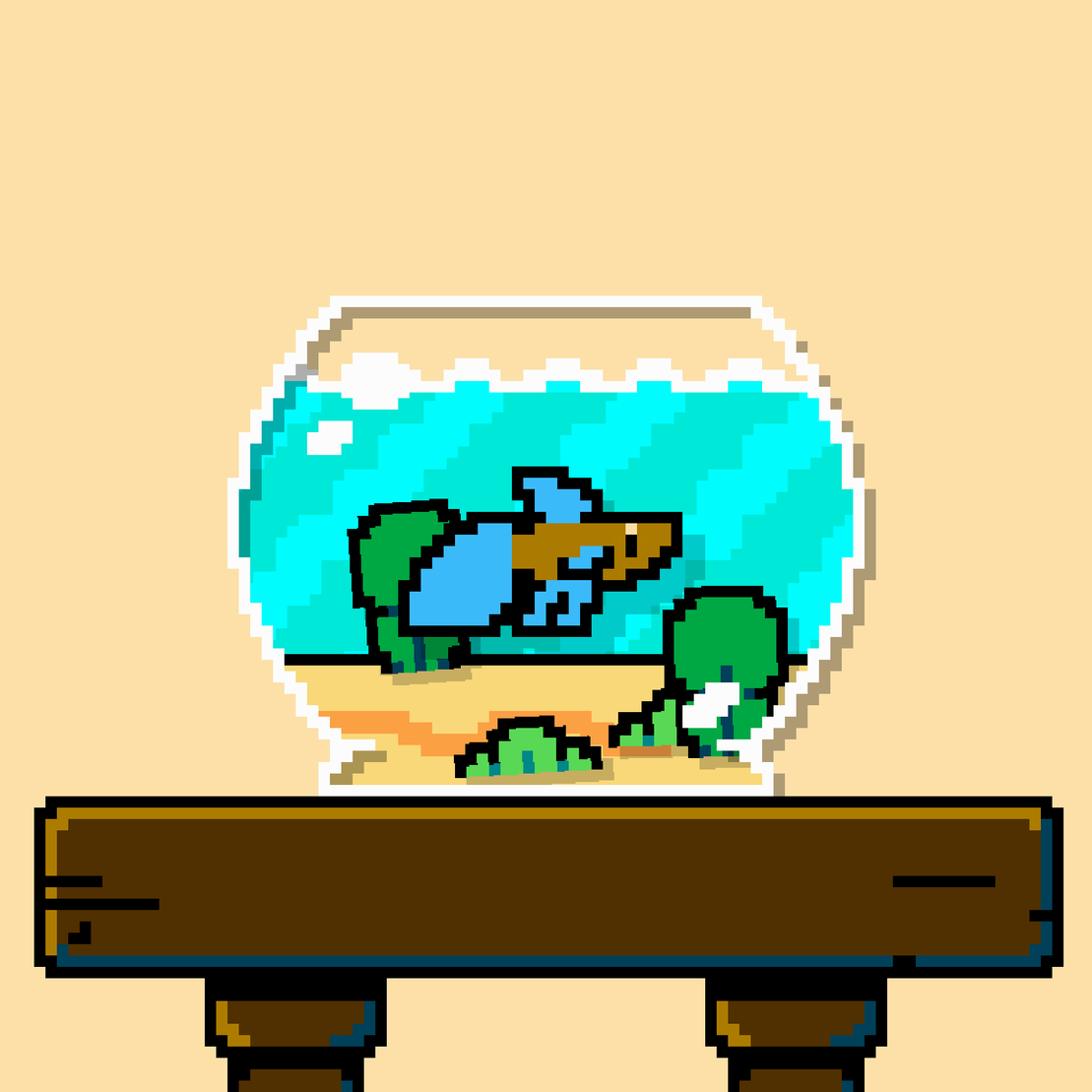 betta fish #301