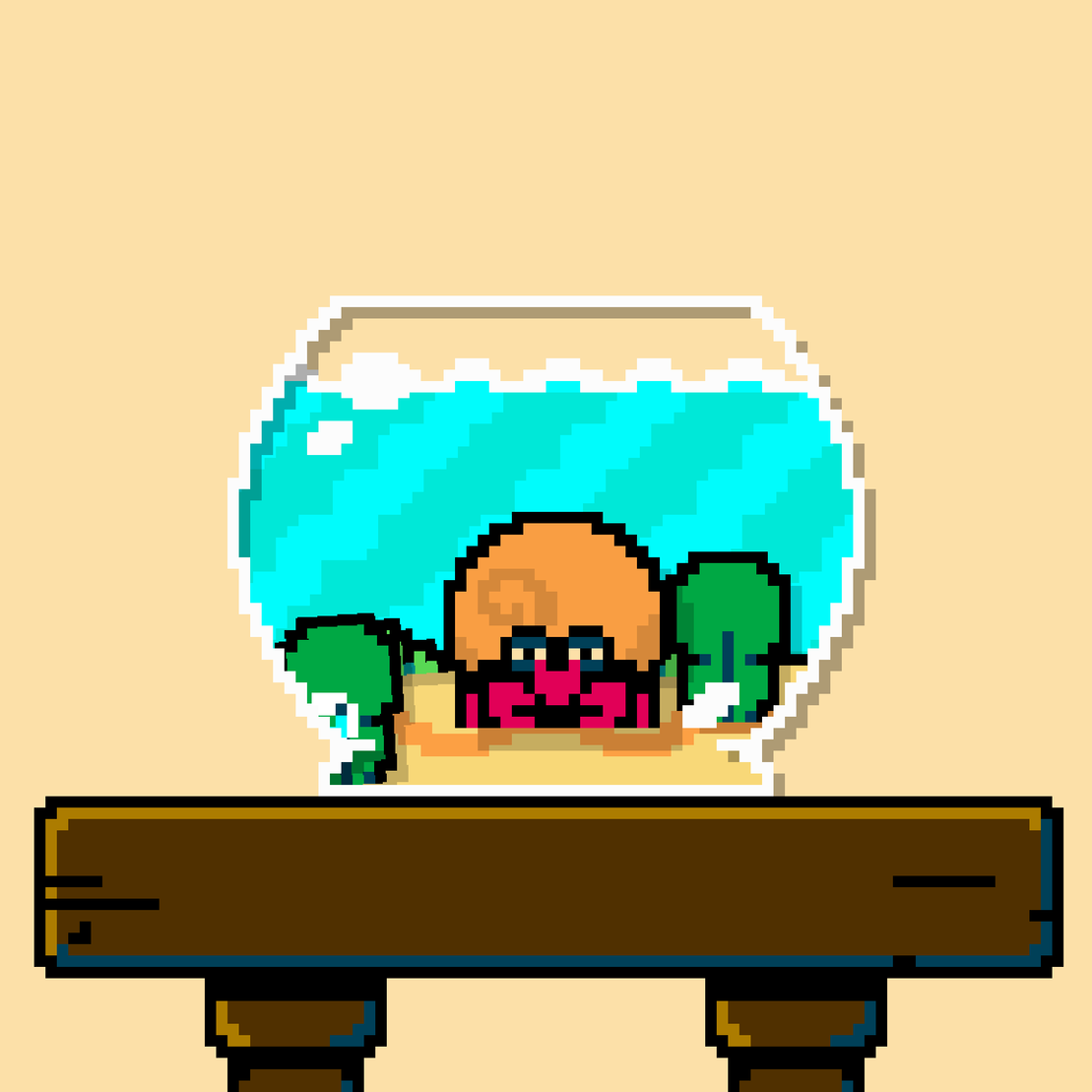 hermit crab #95