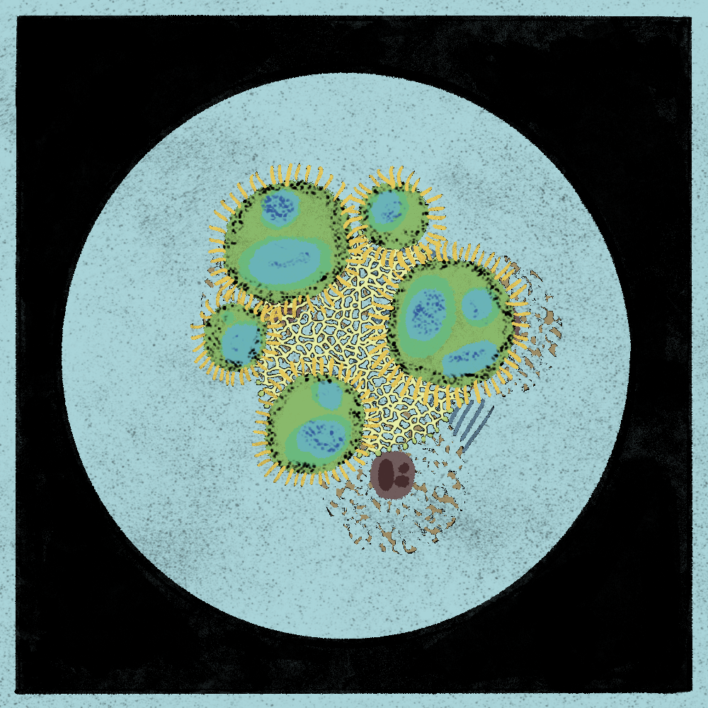 Microbes #159