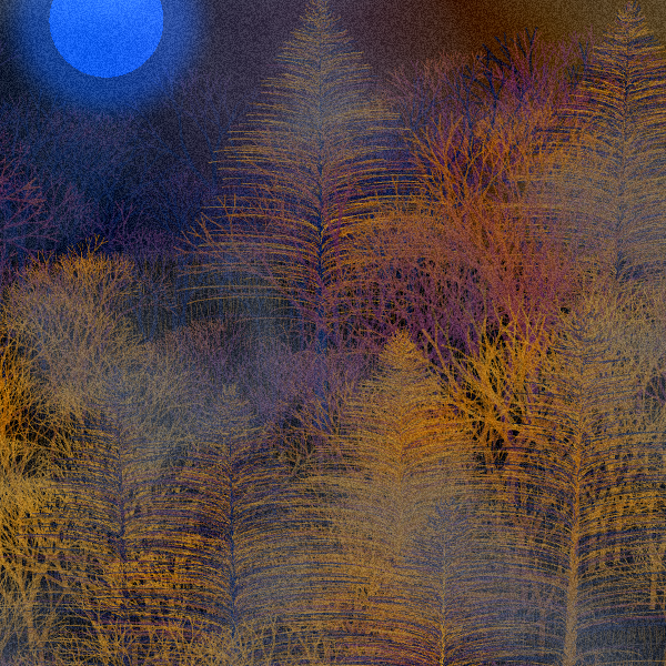 Moonlit Native Bush #1