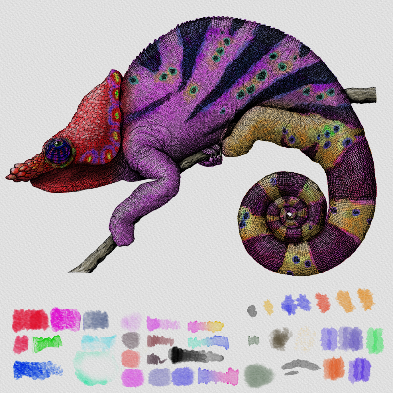 Colorful Cameleon #17