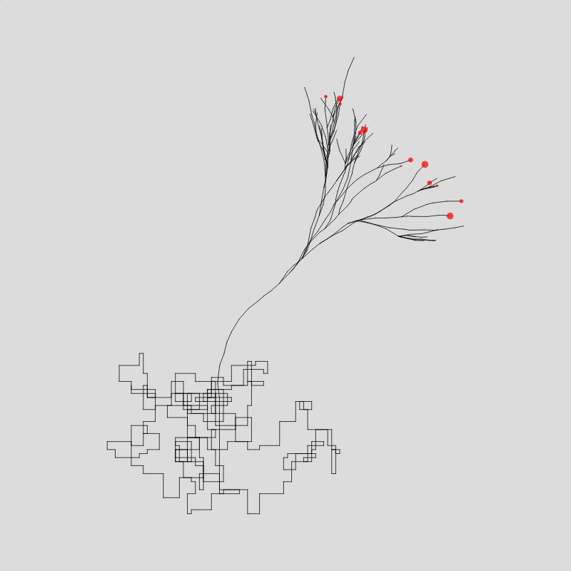 Algorithmic Tree #14