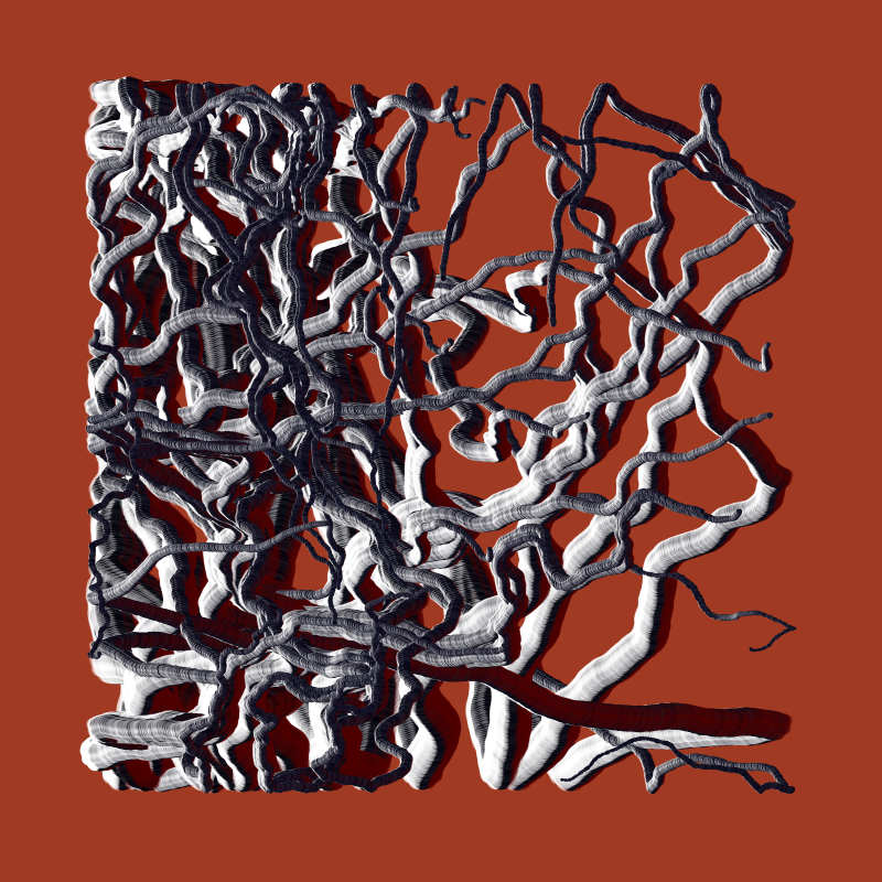 Root #77