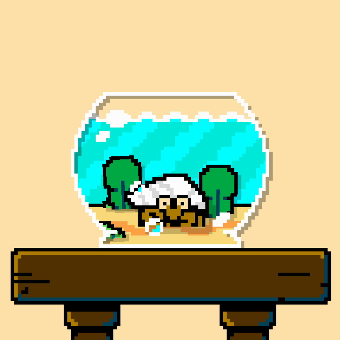 hermit crab #148