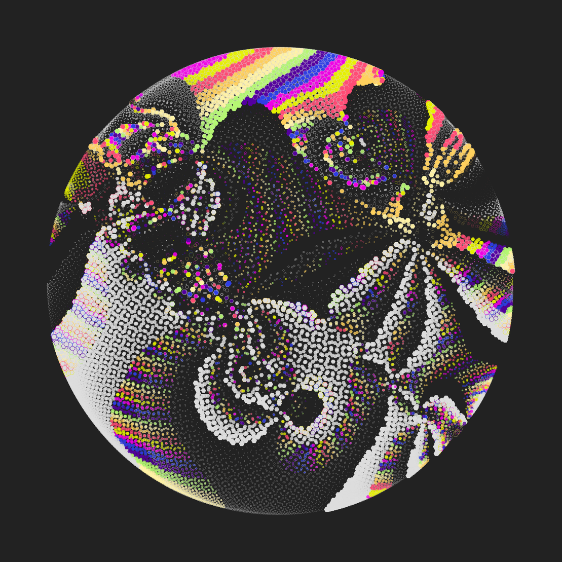 Still C #23284