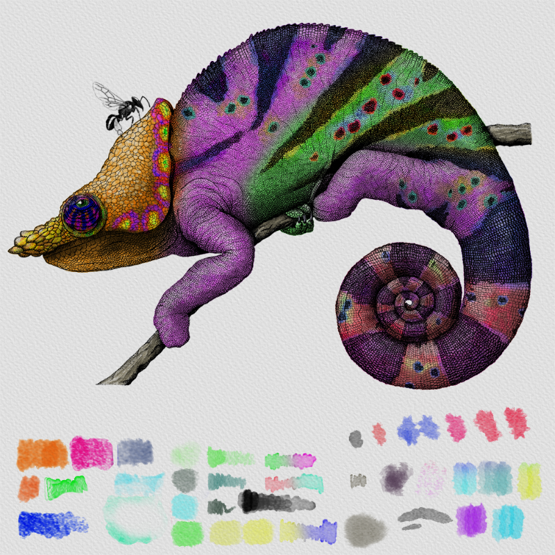 Colorful Cameleon #23