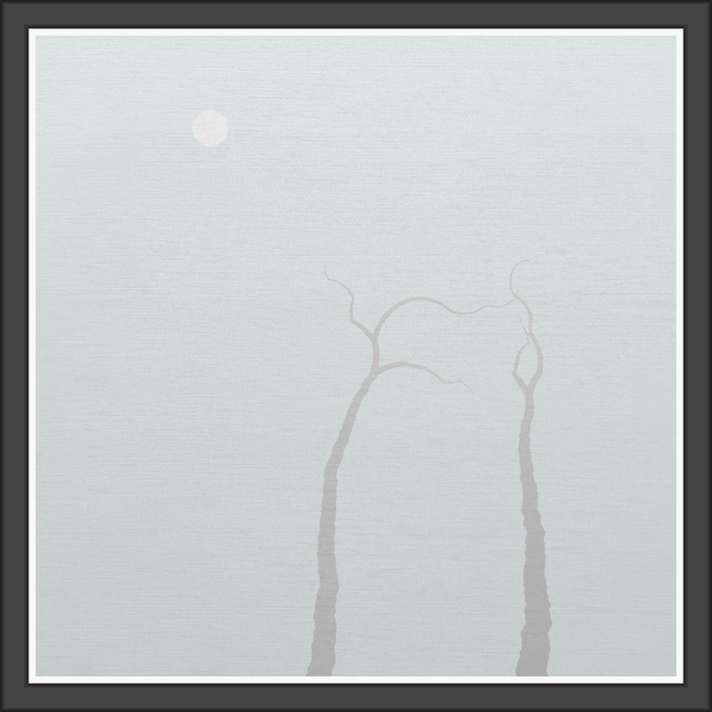 The Foggy Trees #15