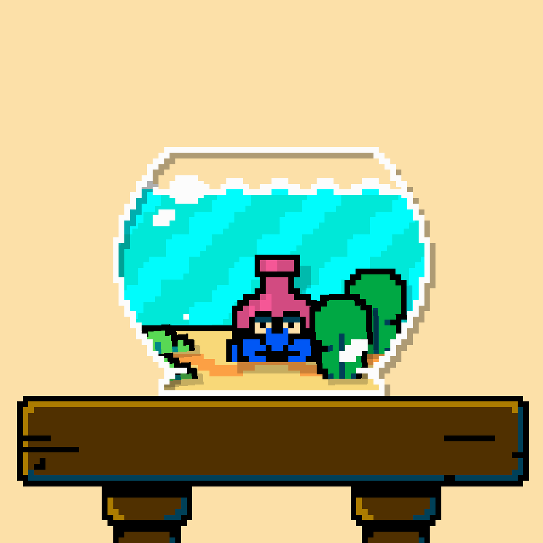 hermit crab #204