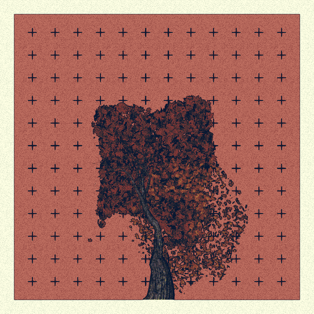 _argania[primaria] #83