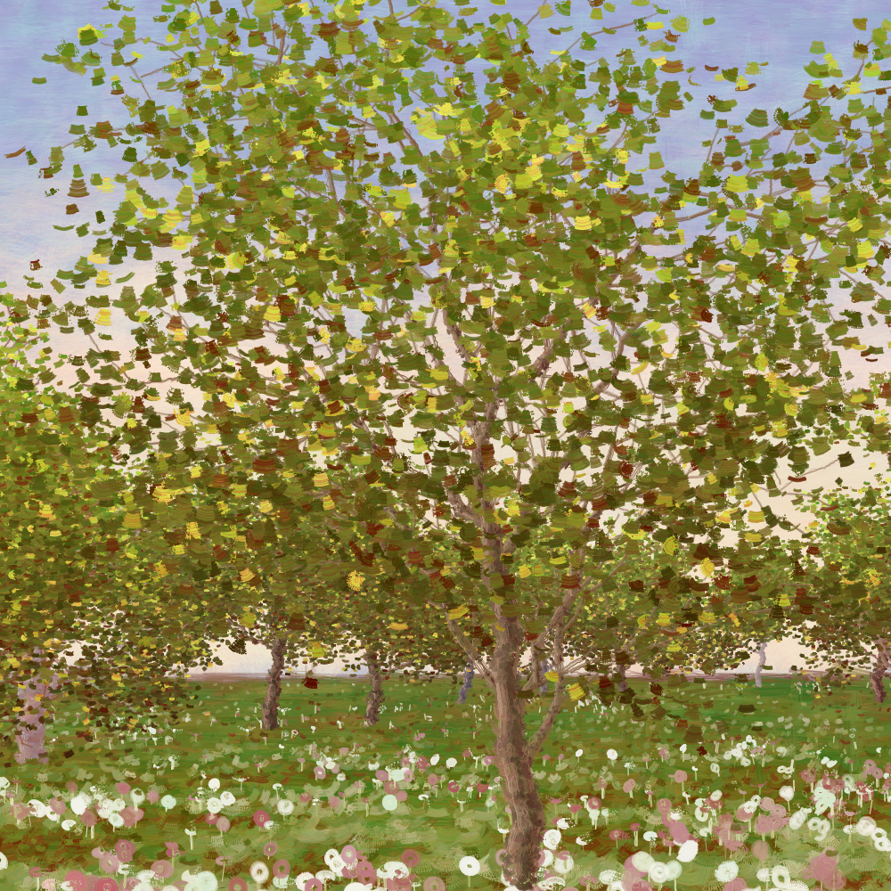 Grove #81
