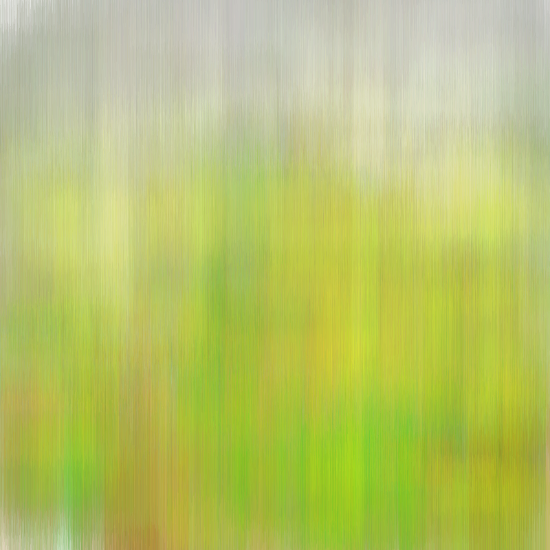 Hatch Field 001 #95
