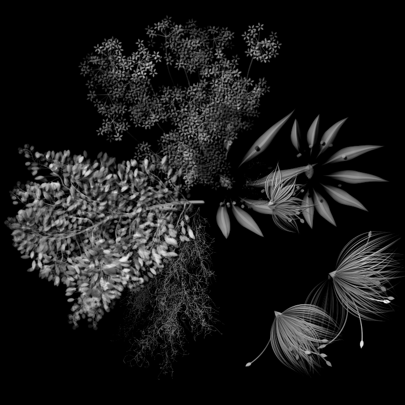 Botanical Ghosts #93
