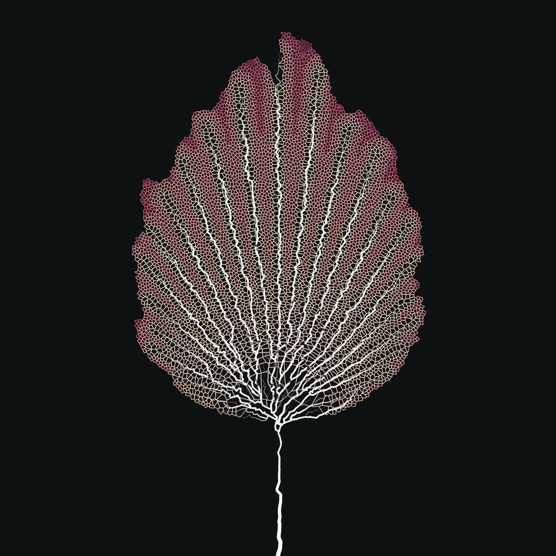 Leaf study #37