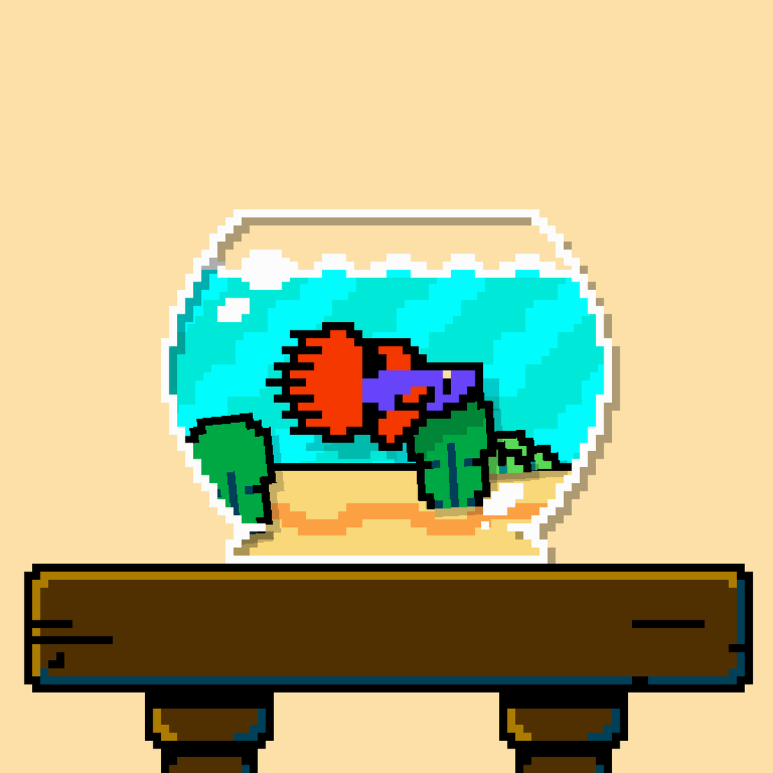 betta fish #182