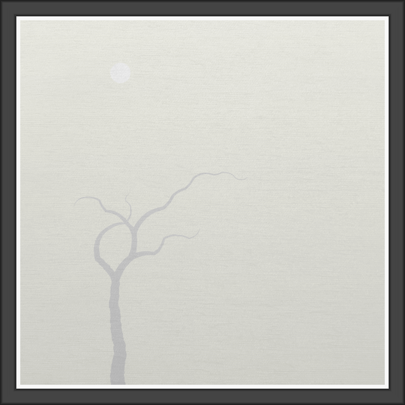 The Foggy Trees #22