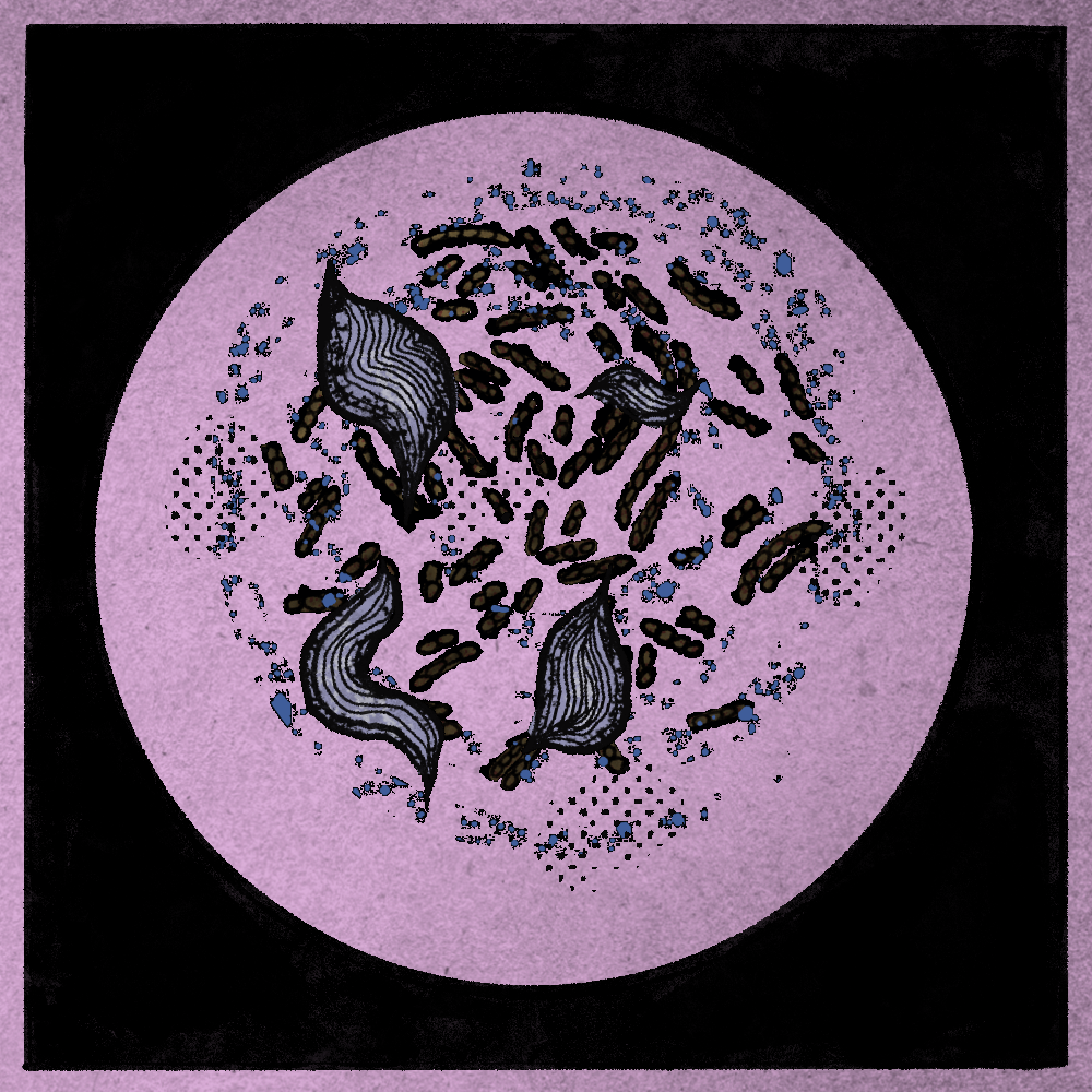 Microbes #151