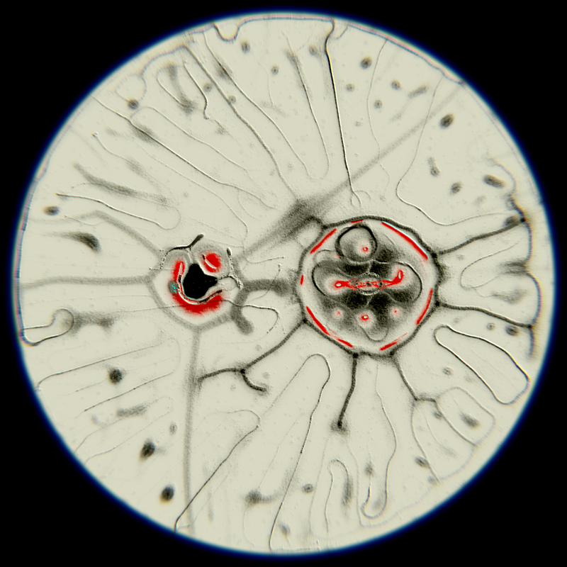 Ethereal Microcosm #159