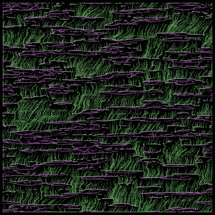 magical swamp #38
