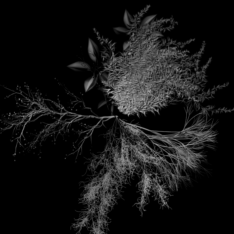 Botanical Ghosts #31