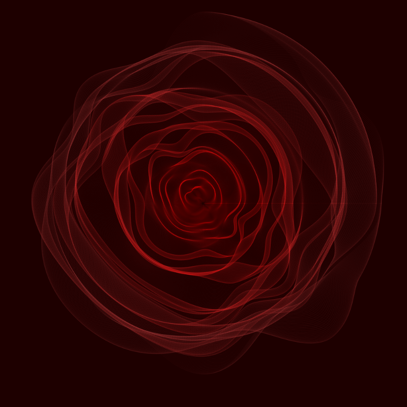 Roses #8