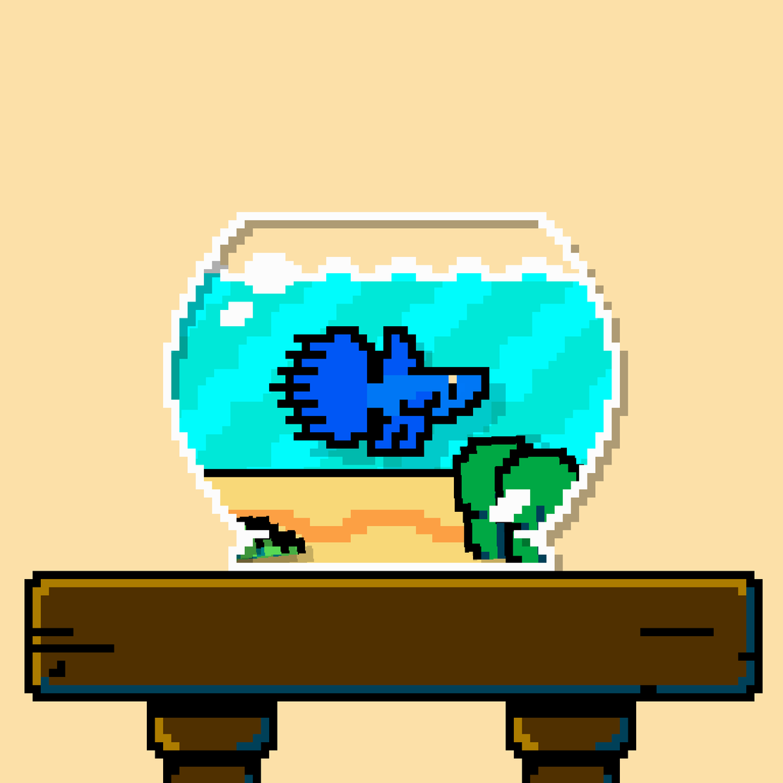 betta fish #535