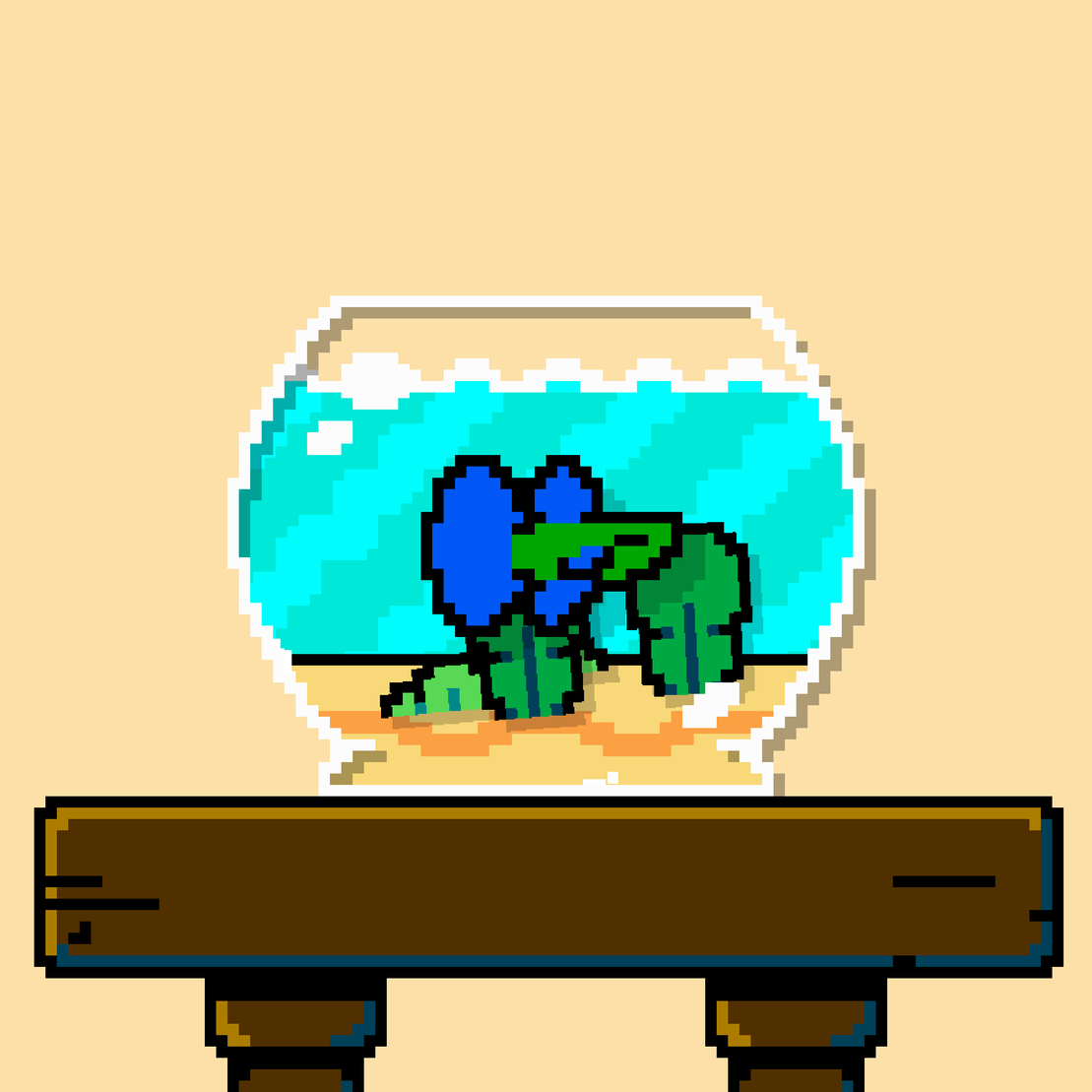 betta fish #136