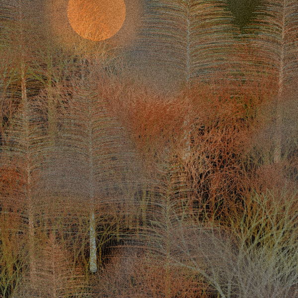 Moonlit Native Bush #8