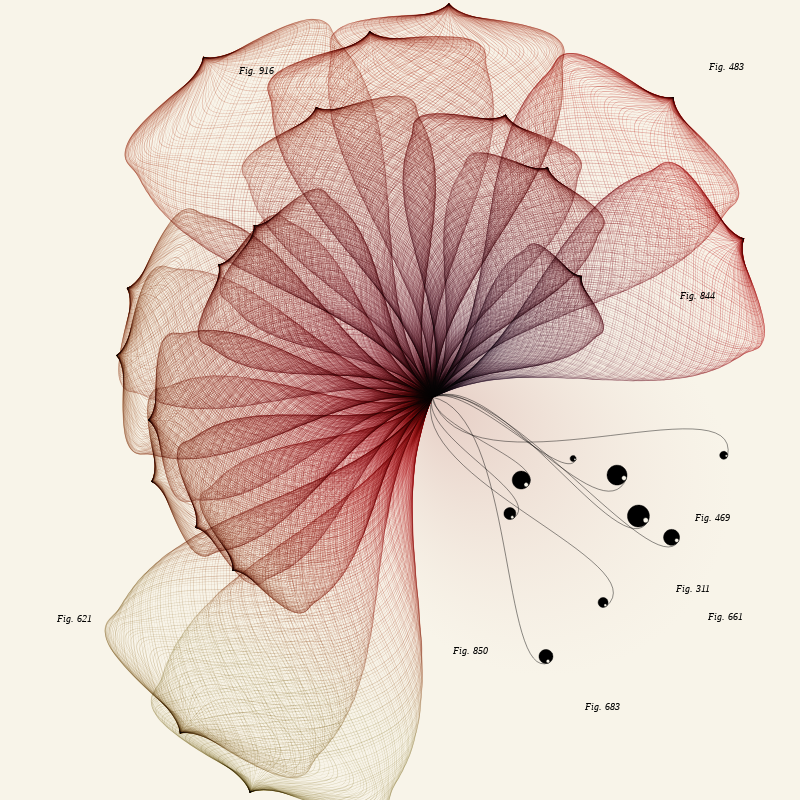 Herbarium #33