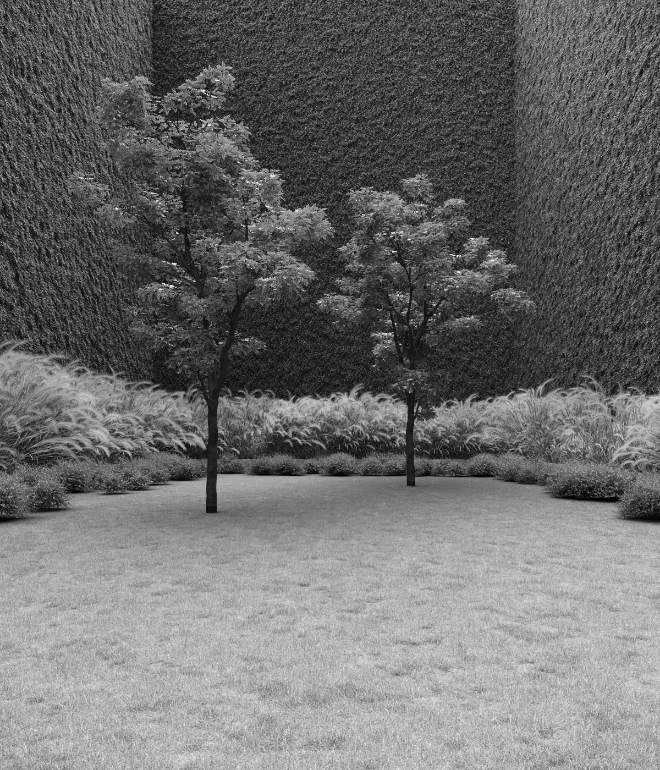 Garden of Imagination #30