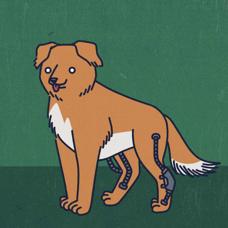 future_dogs #163