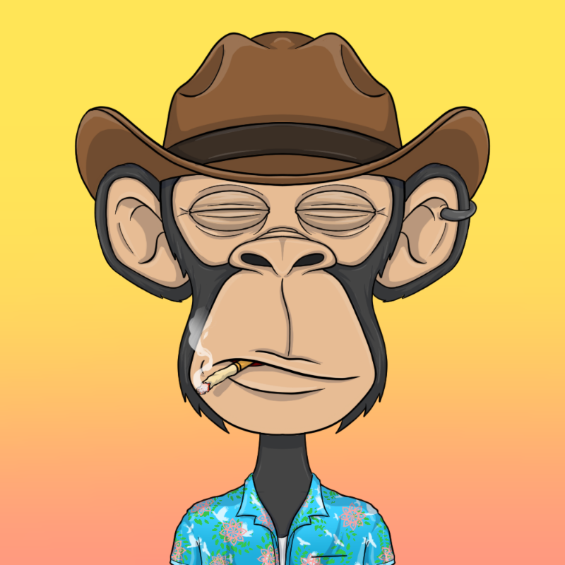 chimpantez #169
